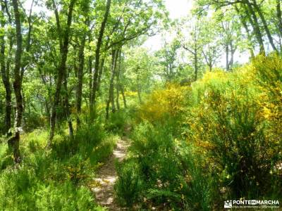 Sierra del Rincón_Montejo de la Sierra_La Hiruela; tiendas de senderismo solana de ávila mapa y bruj